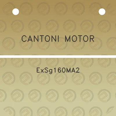 cantoni-motor-exsg160ma2