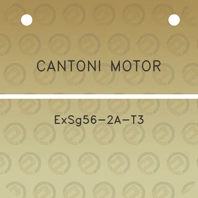 cantoni-motor-exsg56-2a-t3