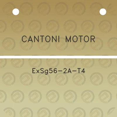 cantoni-motor-exsg56-2a-t4