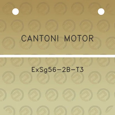 cantoni-motor-exsg56-2b-t3