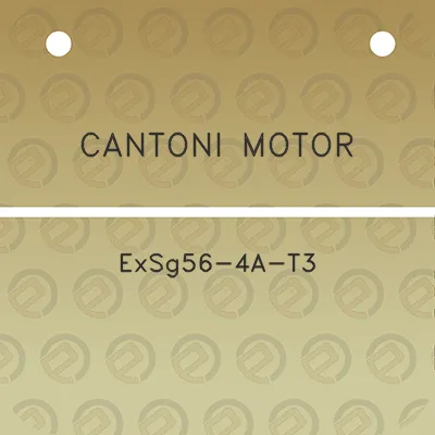 cantoni-motor-exsg56-4a-t3