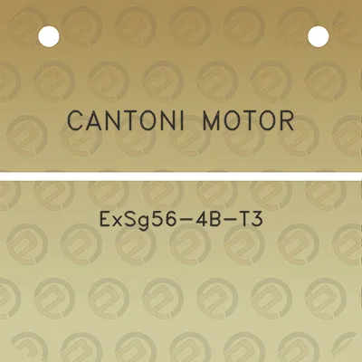 cantoni-motor-exsg56-4b-t3