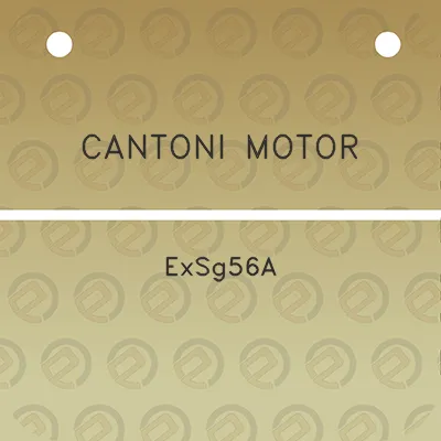 cantoni-motor-exsg56a