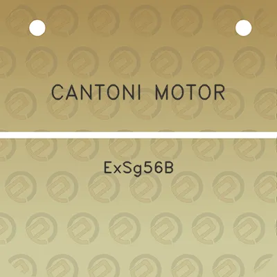 cantoni-motor-exsg56b