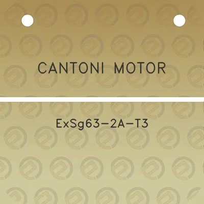 cantoni-motor-exsg63-2a-t3