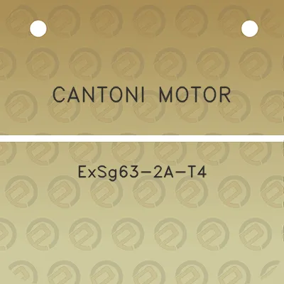 cantoni-motor-exsg63-2a-t4