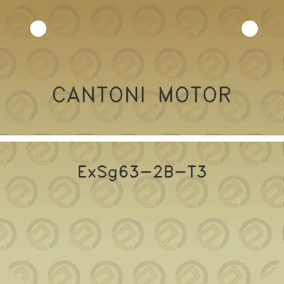 cantoni-motor-exsg63-2b-t3