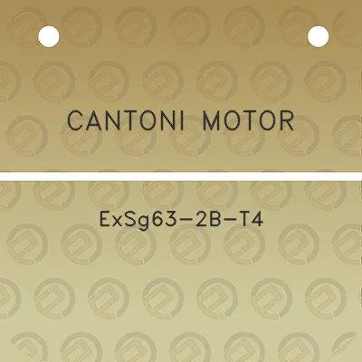 cantoni-motor-exsg63-2b-t4