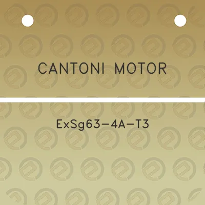 cantoni-motor-exsg63-4a-t3