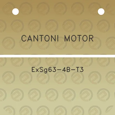 cantoni-motor-exsg63-4b-t3