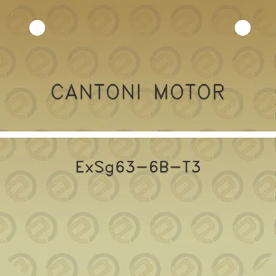 cantoni-motor-exsg63-6b-t3