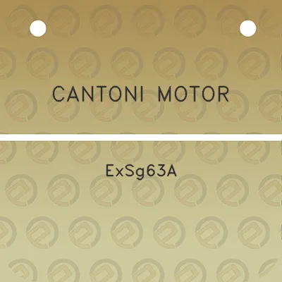 cantoni-motor-exsg63a