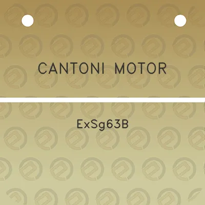 cantoni-motor-exsg63b