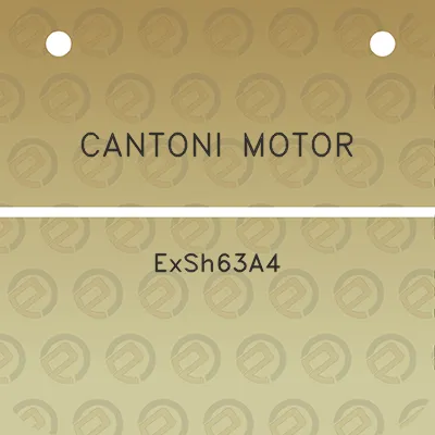 cantoni-motor-exsh63a4