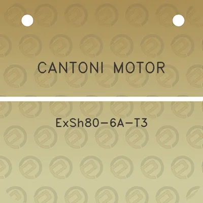 cantoni-motor-exsh80-6a-t3