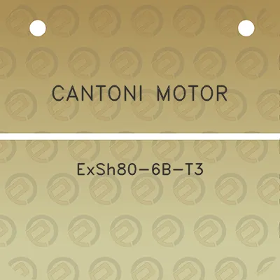 cantoni-motor-exsh80-6b-t3