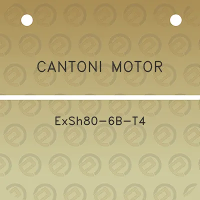 cantoni-motor-exsh80-6b-t4