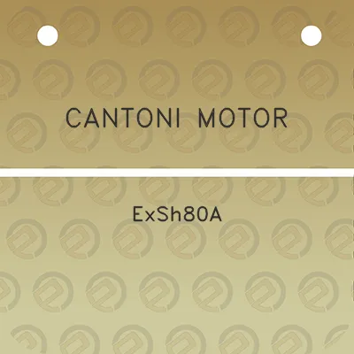 cantoni-motor-exsh80a