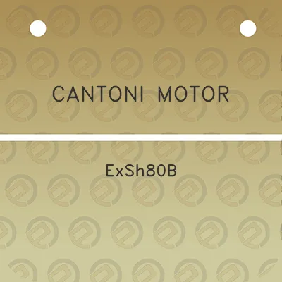 cantoni-motor-exsh80b