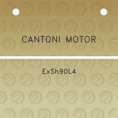 cantoni-motor-exsh90l4