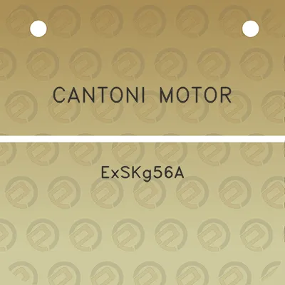 cantoni-motor-exskg56a