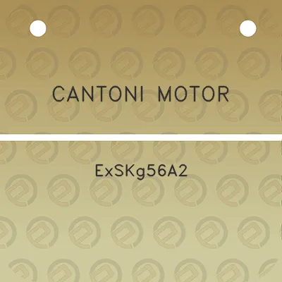 cantoni-motor-exskg56a2