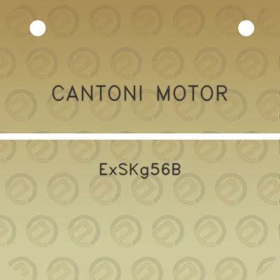 cantoni-motor-exskg56b