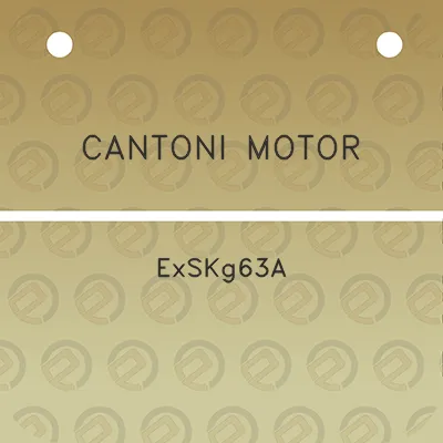 cantoni-motor-exskg63a