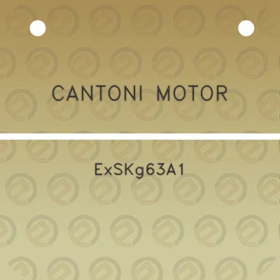 cantoni-motor-exskg63a1