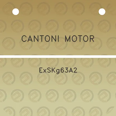 cantoni-motor-exskg63a2