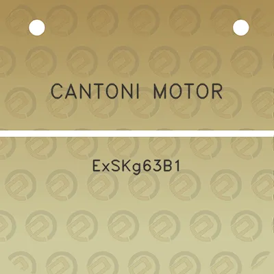 cantoni-motor-exskg63b1