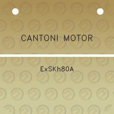 cantoni-motor-exskh80a