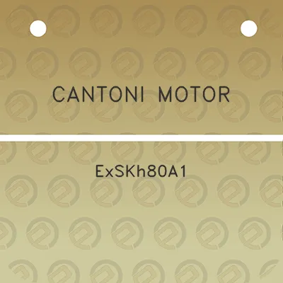 cantoni-motor-exskh80a1