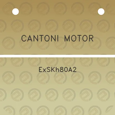 cantoni-motor-exskh80a2