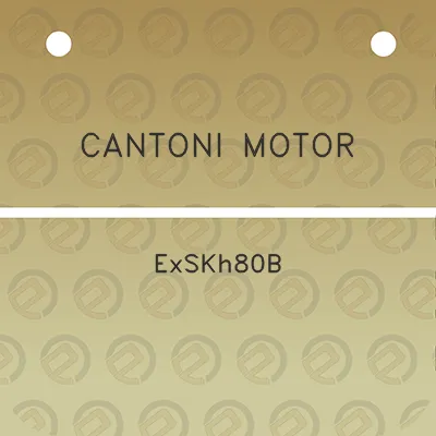 cantoni-motor-exskh80b