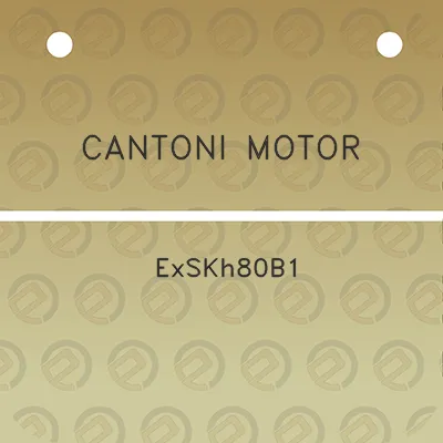 cantoni-motor-exskh80b1