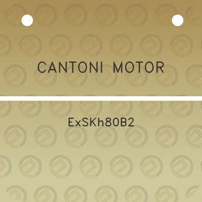 cantoni-motor-exskh80b2