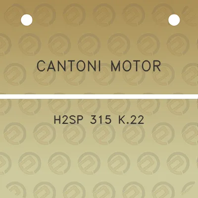 cantoni-motor-h2sp-315-k22