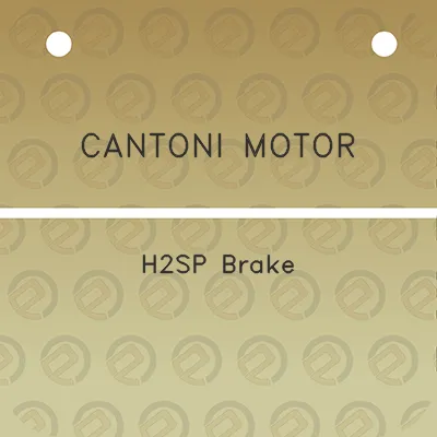 cantoni-motor-h2sp-brake