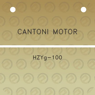 cantoni-motor-hzyg-100