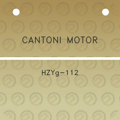 cantoni-motor-hzyg-112