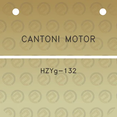 cantoni-motor-hzyg-132