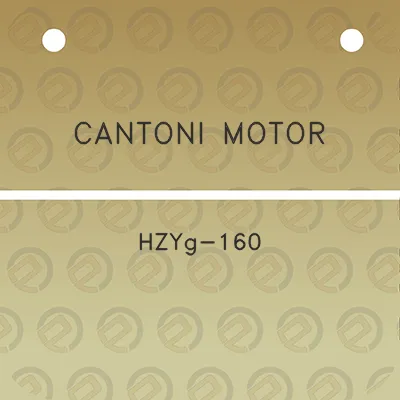 cantoni-motor-hzyg-160