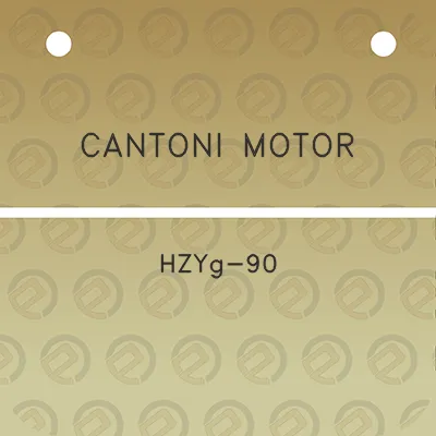 cantoni-motor-hzyg-90