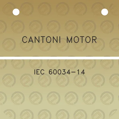 cantoni-motor-iec-60034-14