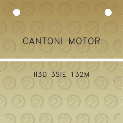 cantoni-motor-ii3d-3sie-132m