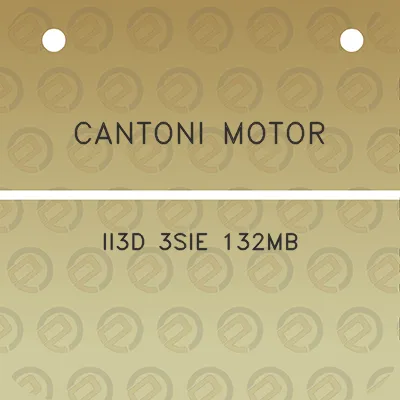 cantoni-motor-ii3d-3sie-132mb