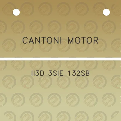 cantoni-motor-ii3d-3sie-132sb