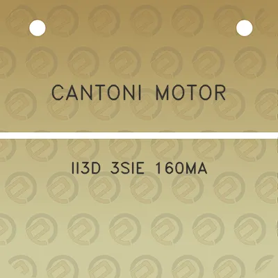 cantoni-motor-ii3d-3sie-160ma