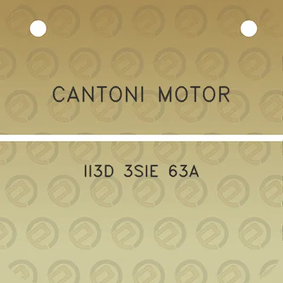 cantoni-motor-ii3d-3sie-63a